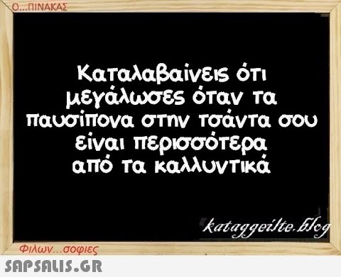 Ο...ΠΙΝΑΚΑΣ Καταλαβαίνεις ότι μεγάλωσες όταν τα παυσίπονα στην τσάντα σου είναι περισσότερα από τα καλλυντικά Φιλων...σοφιες  kataggeilte.Elog