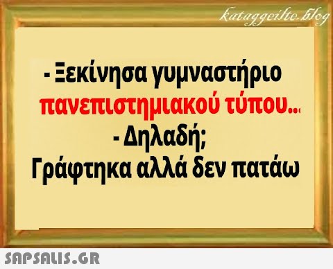 . Εεκίνησα γυμναστήριο πανεπιστημιακού τύπου . - Δηλαδή; Γράφτηκα αλλά δεν πατάω