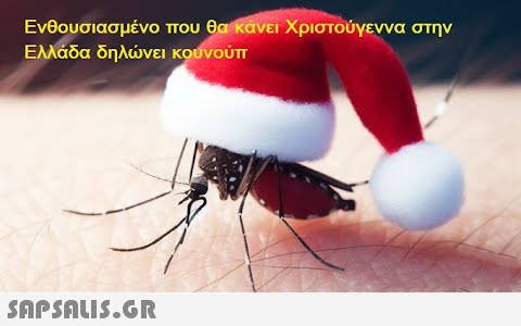 Ενθουσιασμένο που θα κάνει Χριστούγεννα στην Ελλάδα δηλώνει κουνούπ