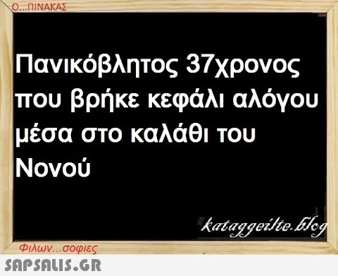 Ο...ΠΙΝΑΚΑΣ Πανικόβλητος 37χρονος που βρήκε κεφάλι αλόγου μέσα στο καλάθι του Νονού Φιλων...σοφιες  kataggeilte.Elog