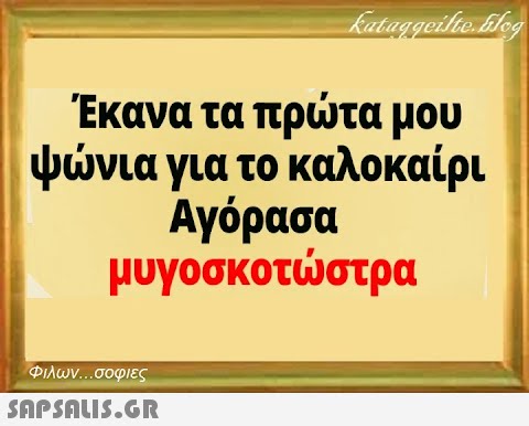 kataggeilte.blog Έκανα τα πρώτα μου ψώνια για το καλοκαίρι Αγόρασα μυγοσκοτώστρα Φιλων...σοφιες