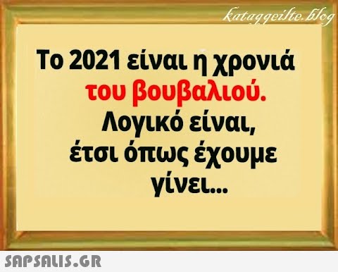 Το 2021 είναι η χρονιά του βουβαλιού. Λογικό είναι, έτσι όπως έχουμε γίνει .