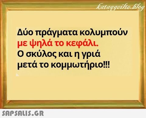 Δύο πράγματα κολυμπούν με ψηλά το κεφάλι. Ο σκύλος και η γριά μετά το κομμωτήριο!! SnPSALI5.GR