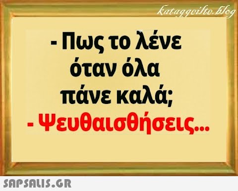 - Πως το λένε όταν όλα πάνε καλά ; -Ψευθαισθήσεις... SAPSALI5.GR