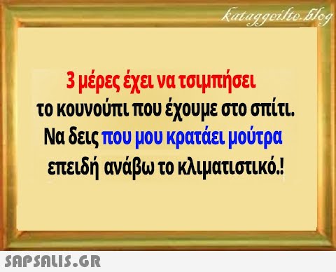 3 μέρες έχει να τσιμπή σει το κουνούπι που έχουμε στο σπίτι. Να δεις που μου κρατάει μούτρα επειδή ανάβω το κλιματιστικό !