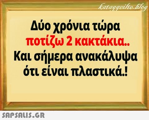 Δύο χρόνια τρα ποτίζω 2 κακτάκια.. Και σήμερα ανακάλυψα ότι είναι πλαστικά.! SnPSALI5.GR