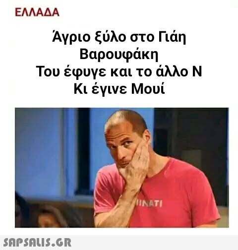 ΕΛΛΑΔΑ Άγριο ξύλο στο Γιάη Βαρουφάκη Του έφυγε και το άλλο Ν Κι έγινε Μουί  INATI