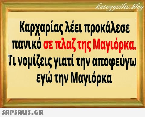 Κυρχαρίας λέει προκάλεσε πανικό σε πλαζ της Μαγιόρκα. Πνομίζεις γιατί την αποφεύγω εγ την Μαγιόρκα