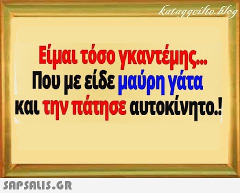 Είμαι τόσο γκαντέμης.. Που με είδε μαύρη γάτα και την πάτησε αυτοκίνητο! SnPSALI5.GR