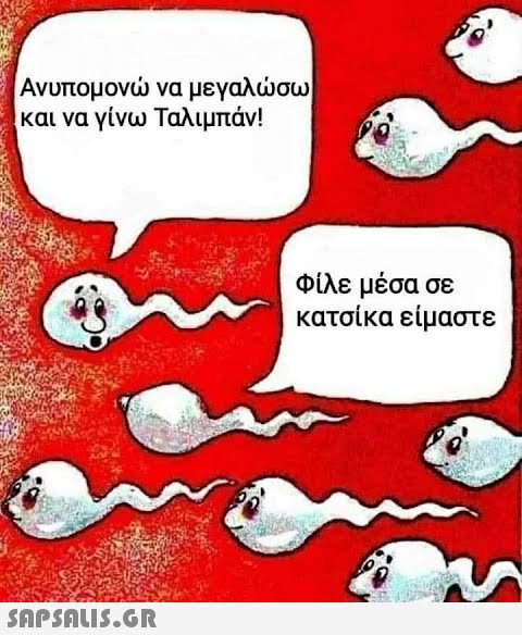 Ανυπομον να μεγαλσω | και να γίνω Ταλιμπάν! Φίλε μέσα σε κατσίκα είμαστε SnpSALIS.GR