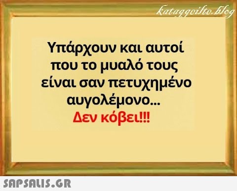 Υπάρχουν και αυτοί που το μυαλό τους είναι σαν πετυχημένο αυγολέμονο. Δεν κόβε !! SnpSALI5.GR