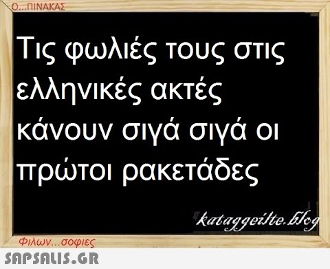 Ο...ΠΙΝΑΚΑΣ Τις φωλιές τους στις ελληνικές ακτές κάνουν σιγά σιγά οι πρώτοι ρακετάδες Φιλων...σοφιες  kataggeilte.Elog