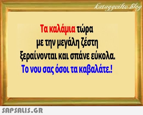 Τα καλάμια τρα μεην μγάλη ζέστη ξεραίνονται και σπάνε εύκολα Τονου σας όσουι τα καβαλάτε!