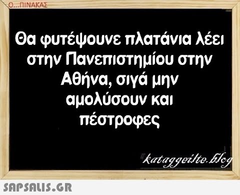 Ο..ΠΙΝΑΚΑΣ Θα φυτέψουνε πλατάνια λέει στην Πανεπιστημίου στην Αθήνα, σιγά μην αμολύσουν και πέστροφες SAPSAUS.GR