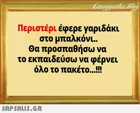 Περιστέρι έφερε γαριδάκι στο μπαλκόνι. . Θα προσπαθήσω να το εκπαιδεύσω να φέρνει όλο το πακέτο...!!