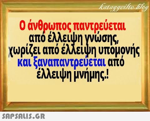 0 άνθρωπος παντρεύεται από έλλειψη γνσης χωρίζει από έλλείψη υπομονής και ξαναπαντρεύεται από έλλειψη μνήμης!