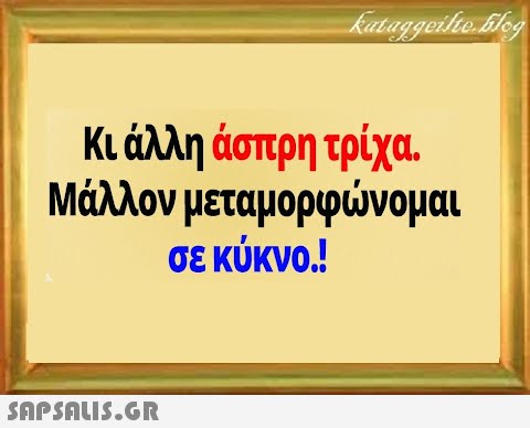 Κι άλλη άσπρη τρίχα Μάλλον μεταμορφνομαι σε κύκνο!